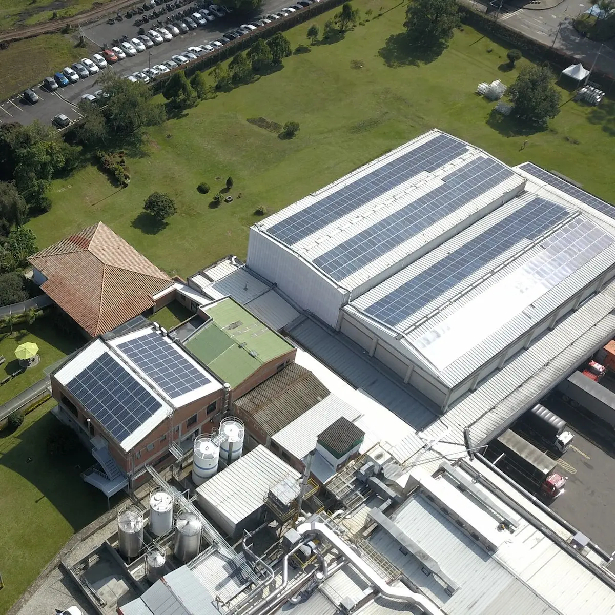 Griffith Foods el modelo a seguir de automatización industrial
